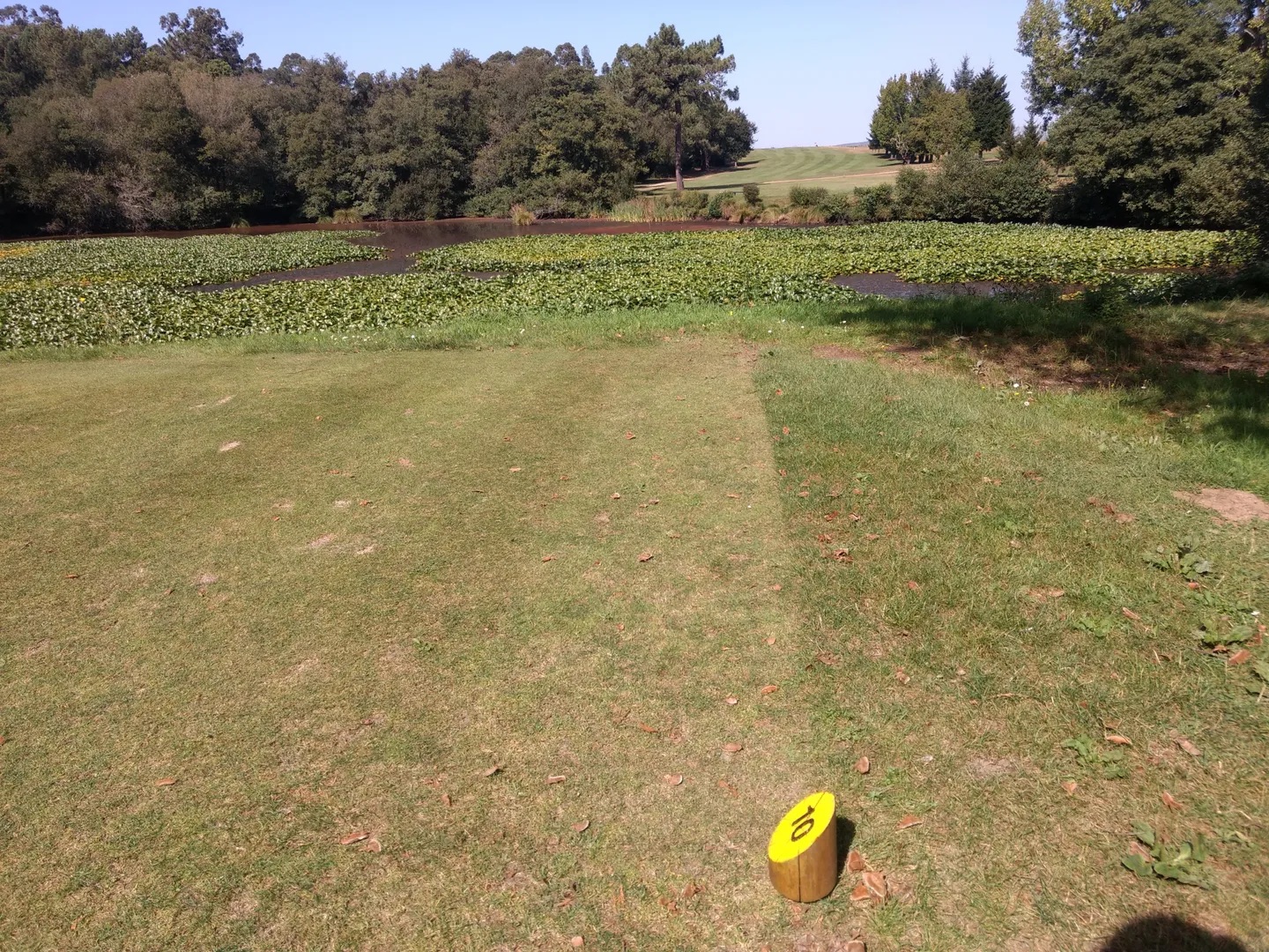 Photo of Golfclub