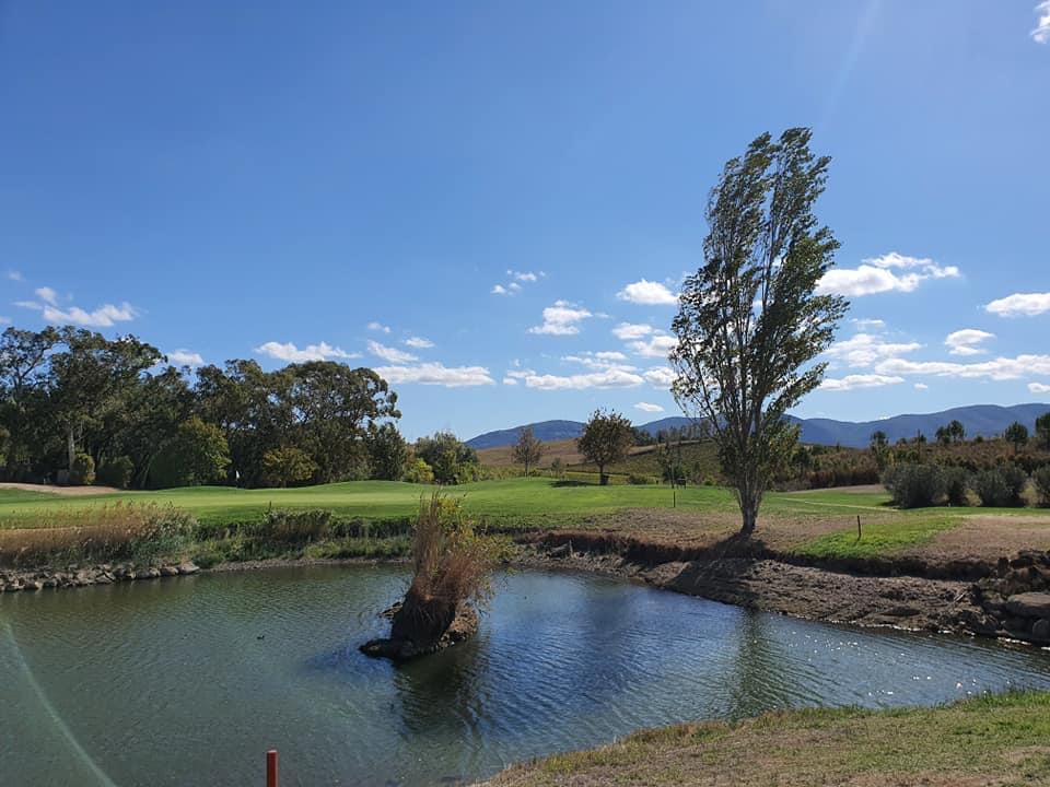 Placeholder