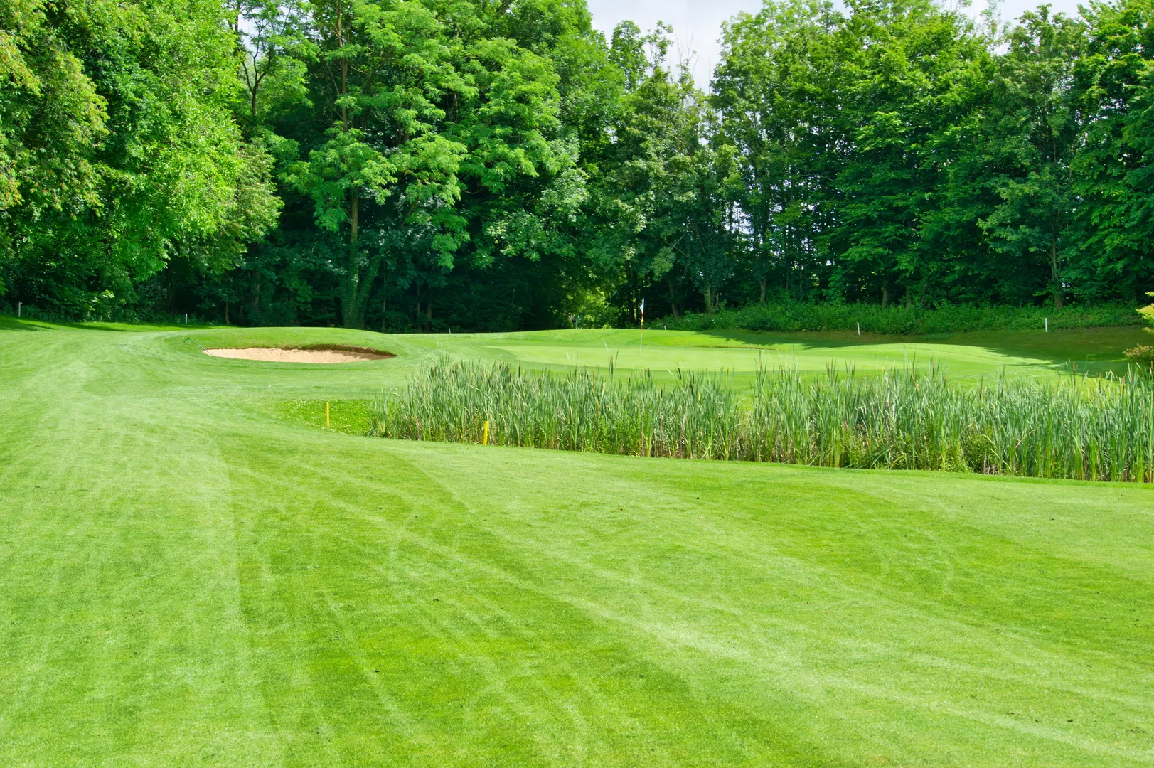 Photo of Golfclub